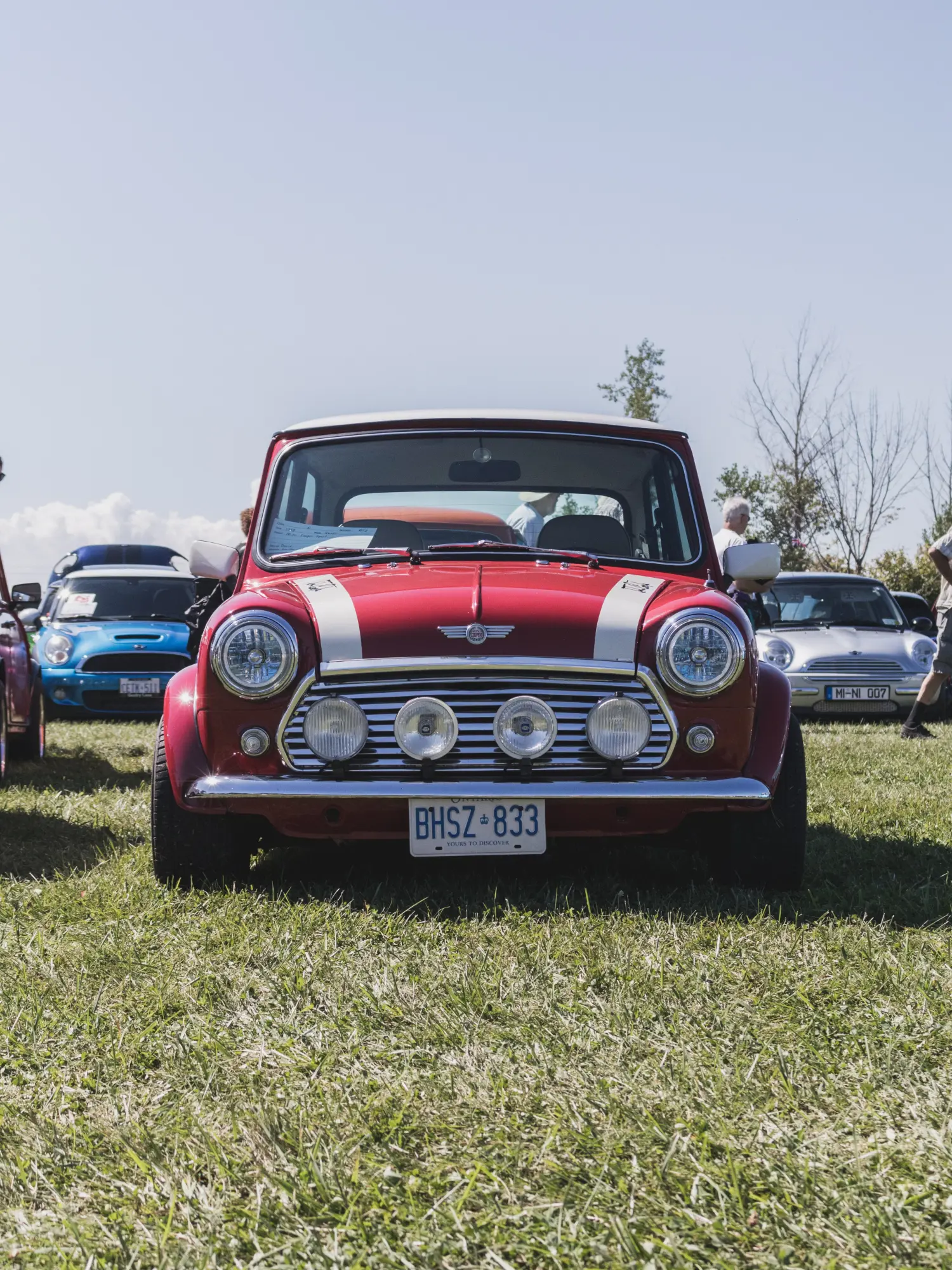 white and red mini cooper r50 parked on the grass