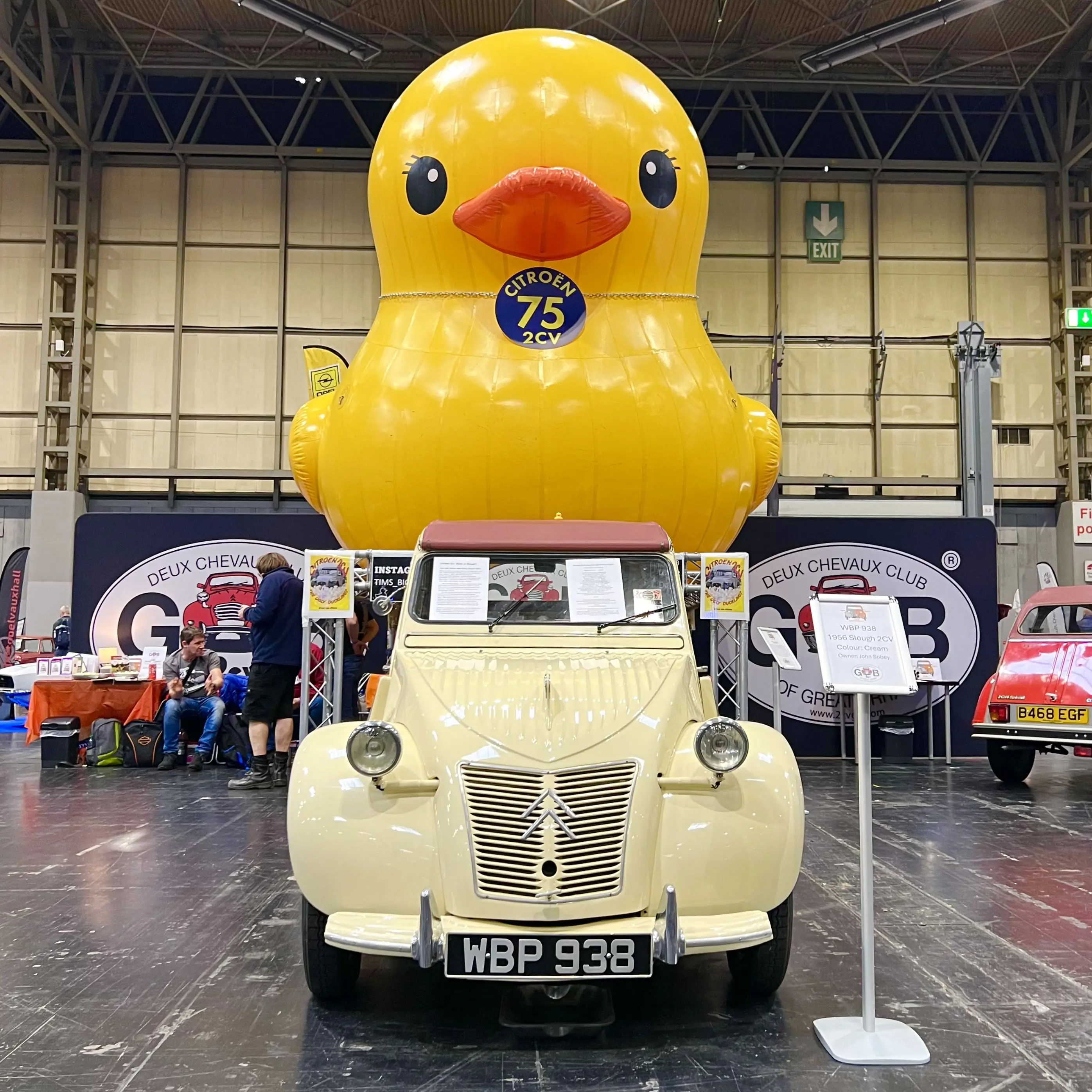 Car with duck on roof