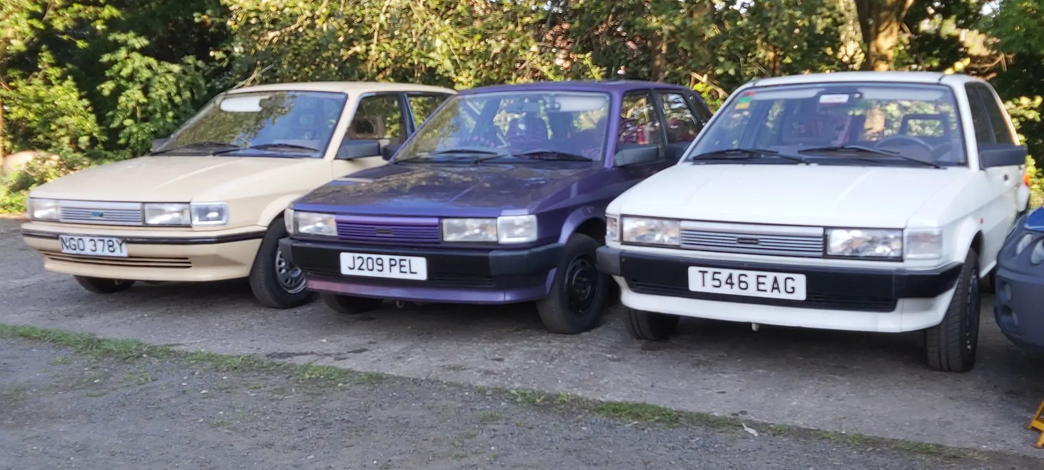 Maestro car collection