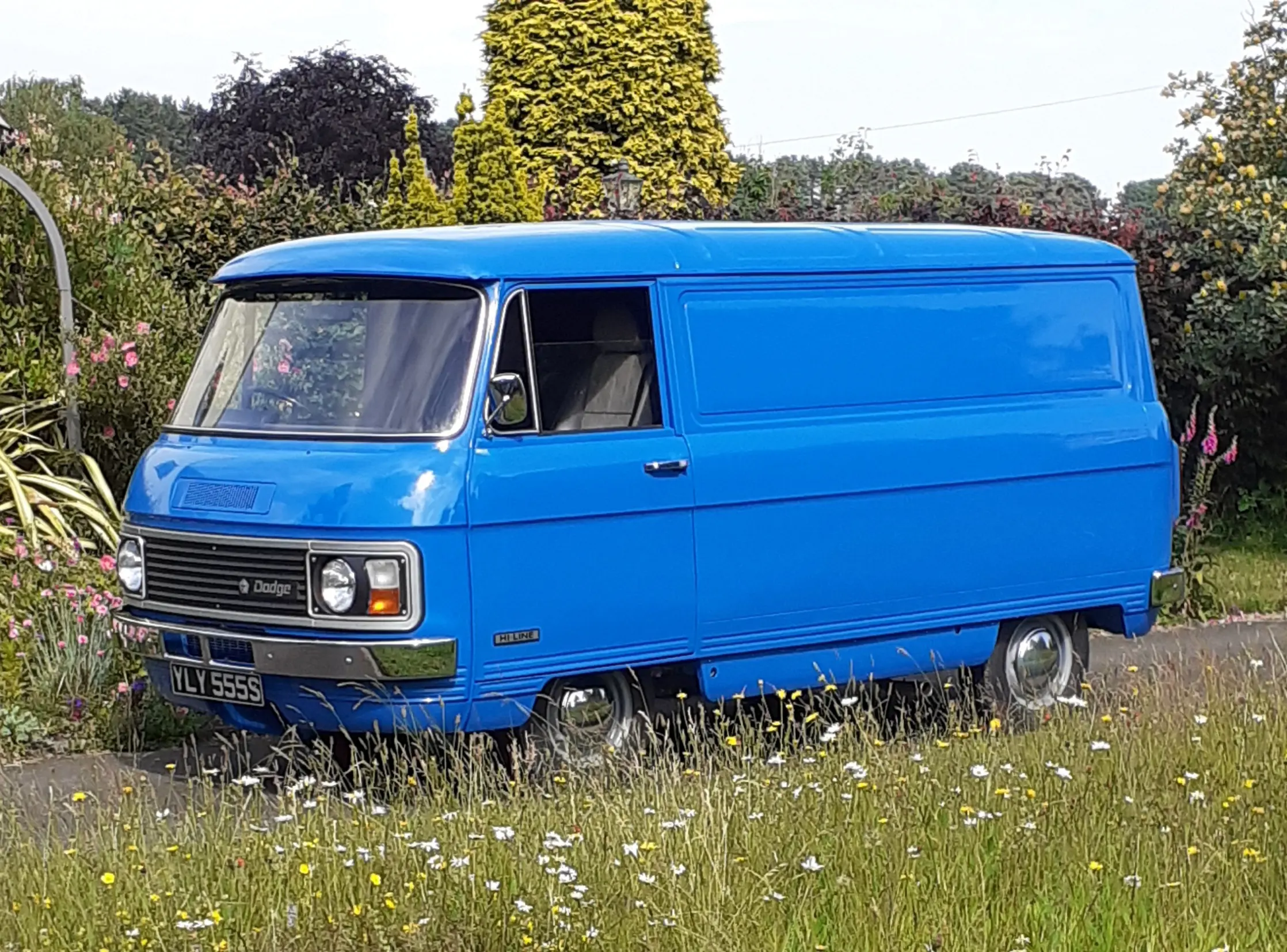 Blue dodge van