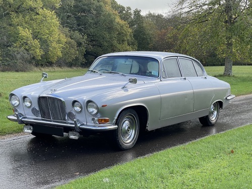 Grey Jaguar 420G