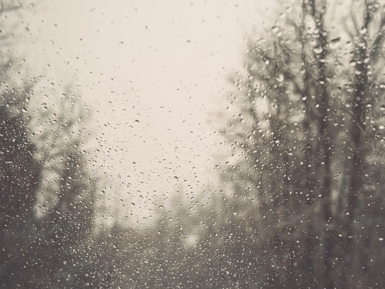A rainy window looking out to a cloudy sky and woodland area
