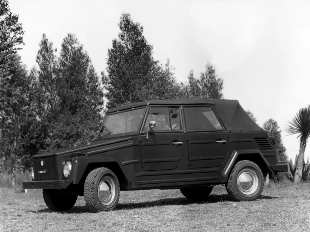 VW 181