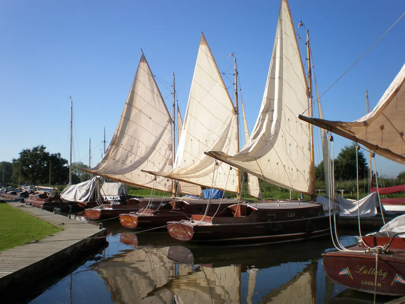Sailing boats lined up on the side of a Broad