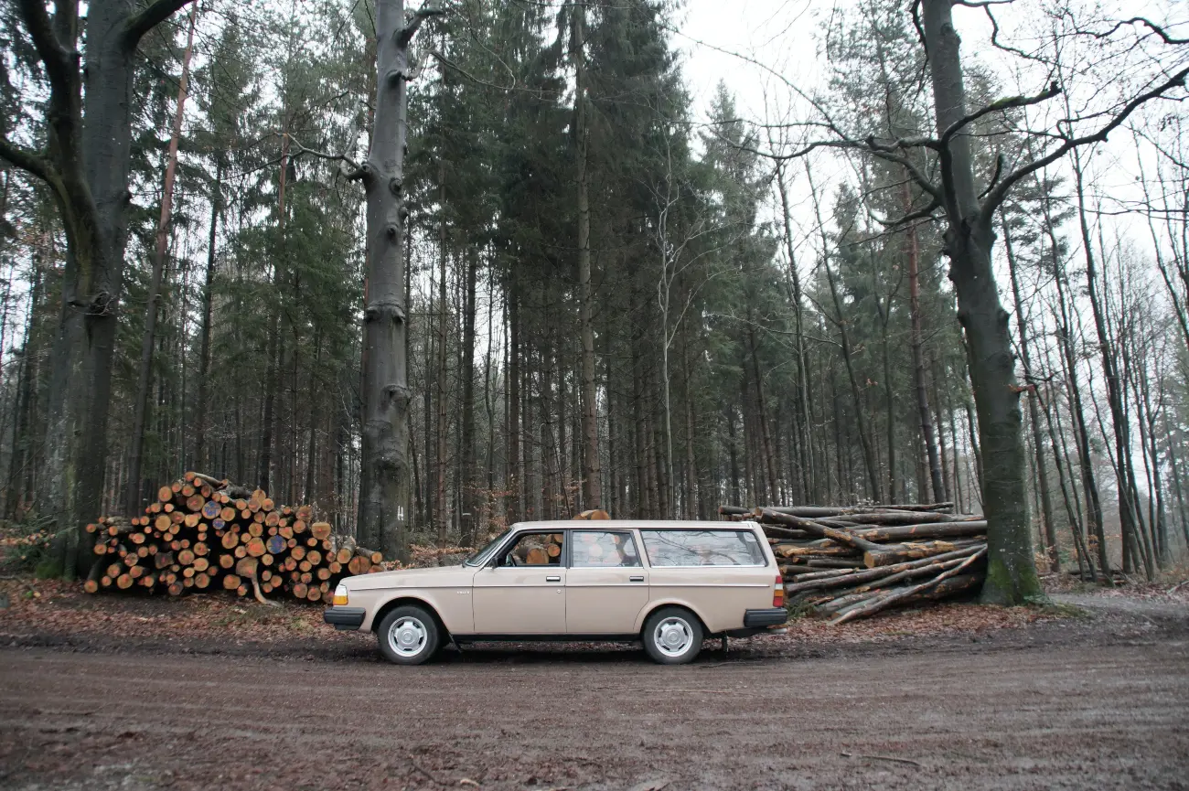Volvo 240 in a forest