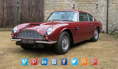 Aston Social Butterfly