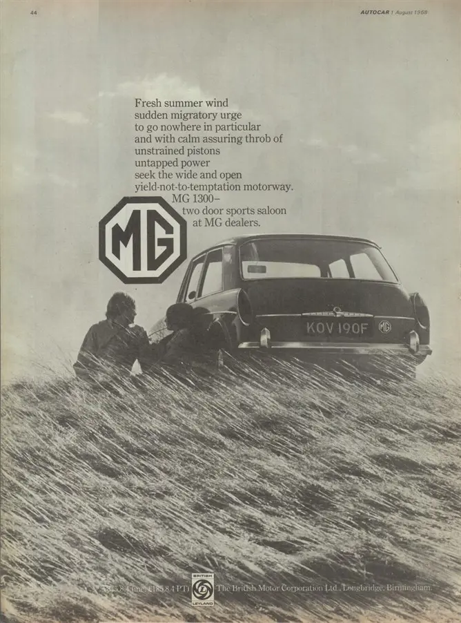 2833188683 Ddb9edaa7e O (1)