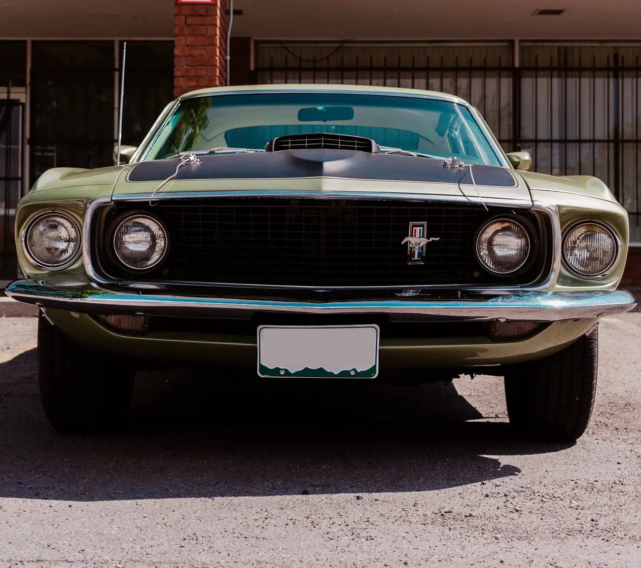The front of a Ford Mustang GT