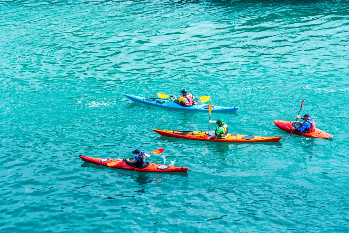 A group of people kayaking on a lake