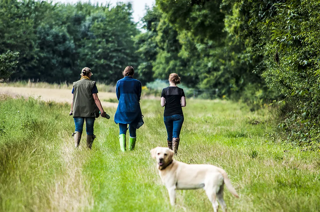Three people walking a dog through a long grassed field next to a woodland