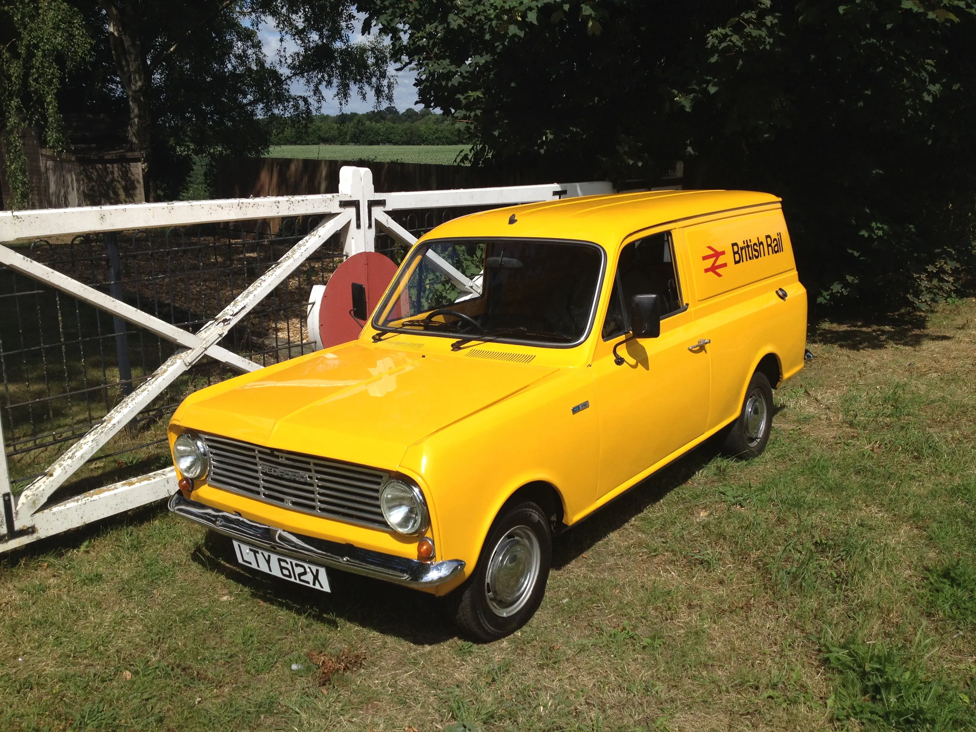 Yellow bedford