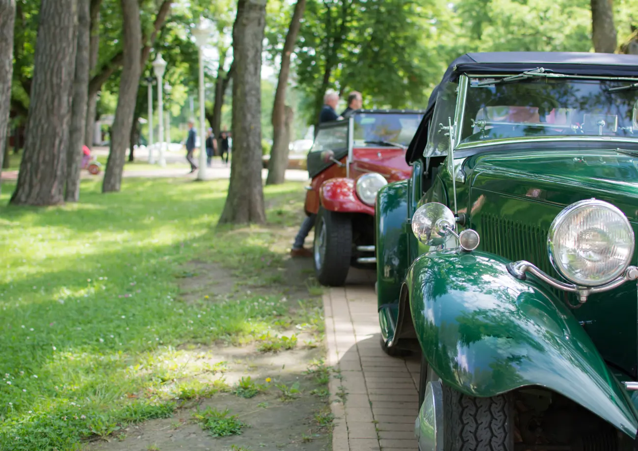 Two similar classic cars parked next to a park with the owners talking