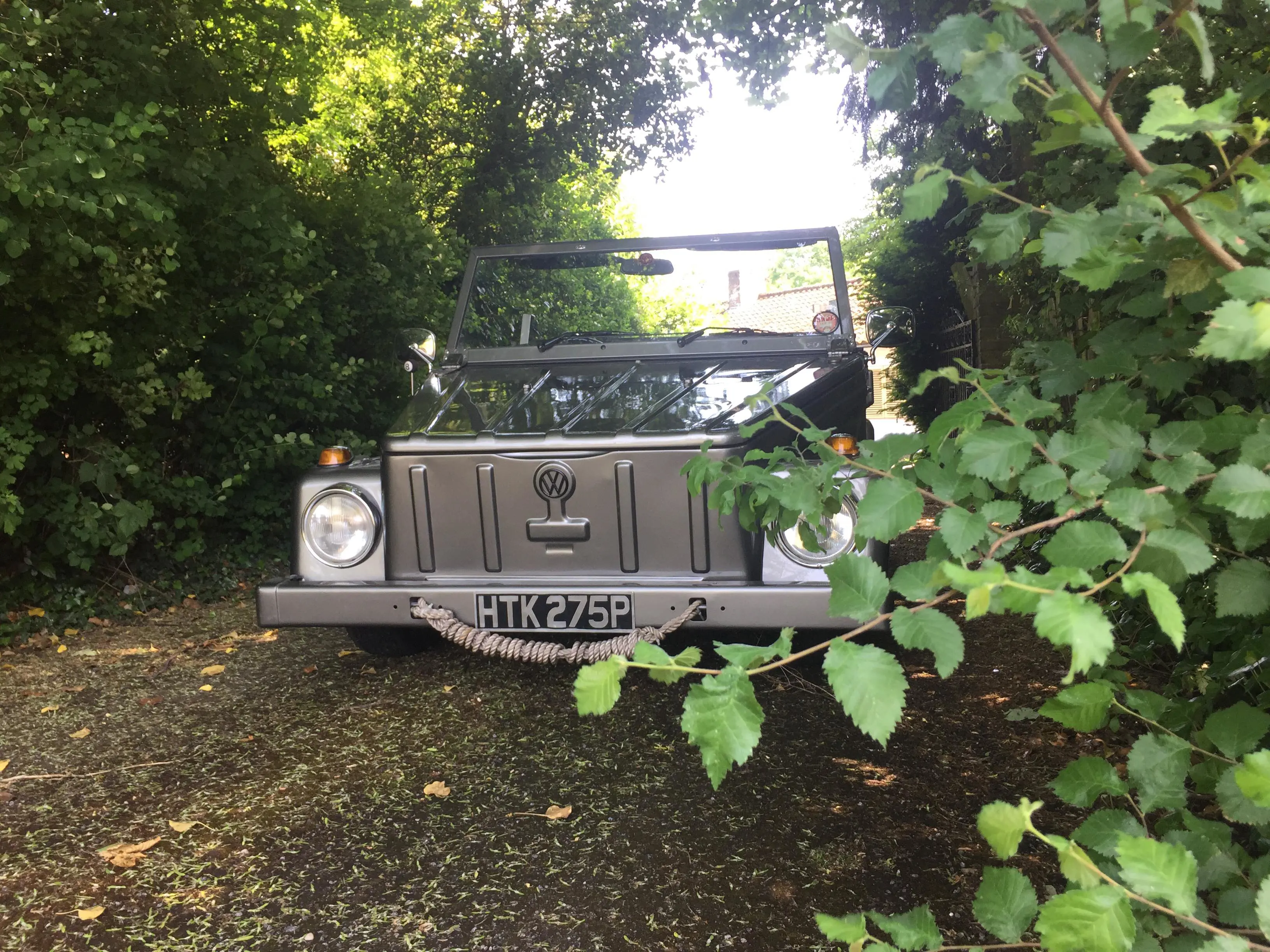 Silver car in trees