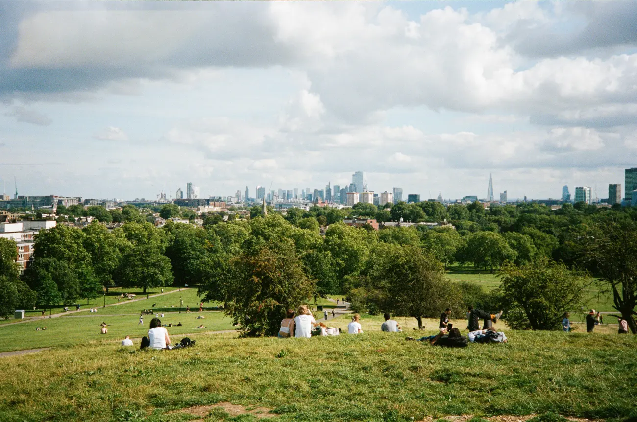 Primrose hill