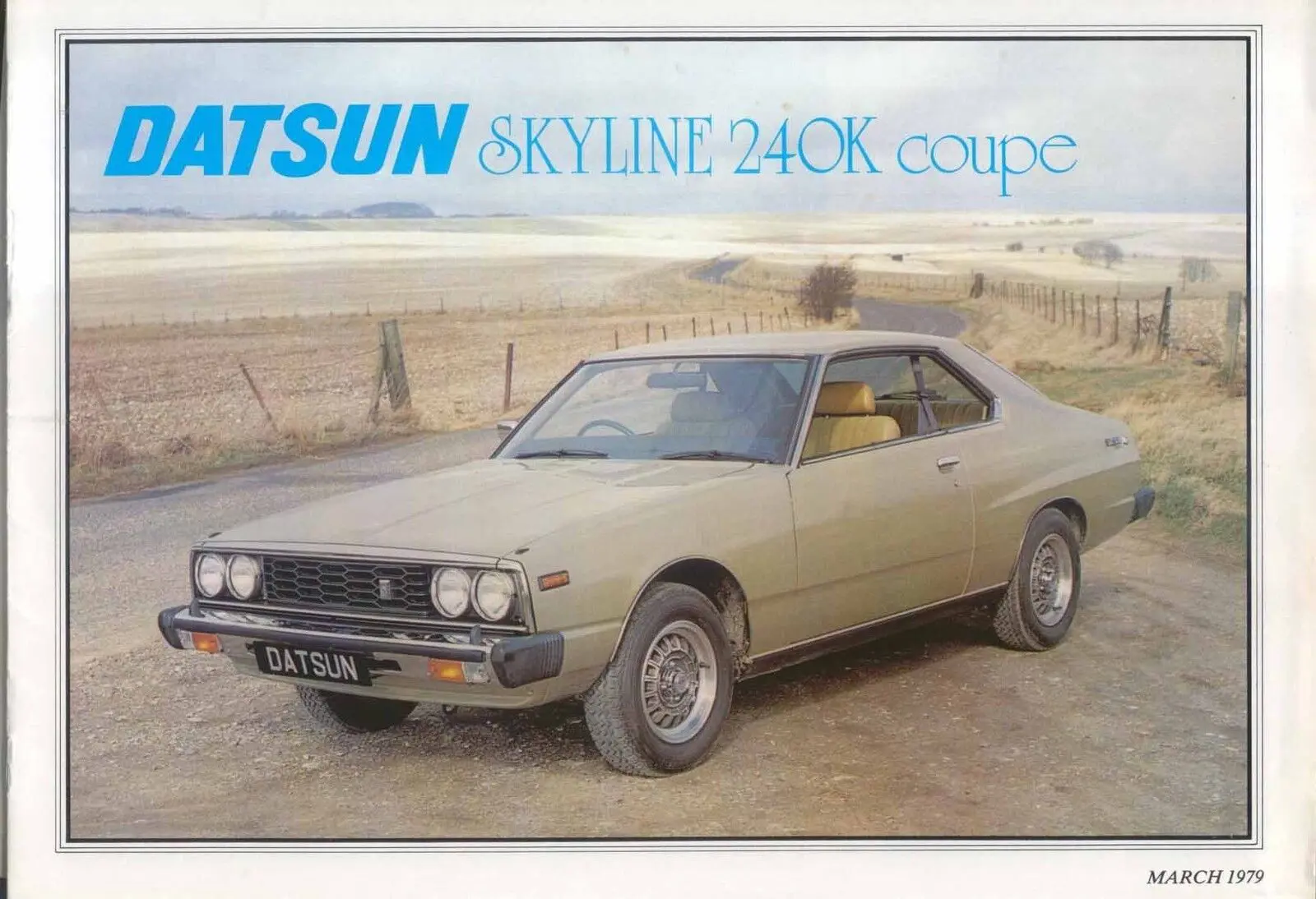 Skyline GT