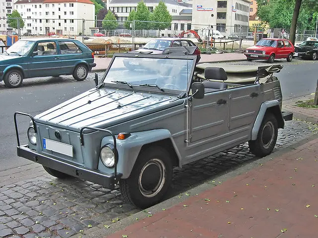 VW Thing