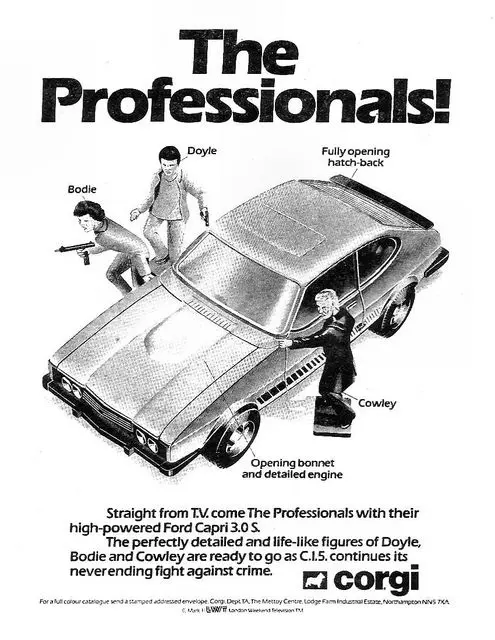 Corgi the professionals